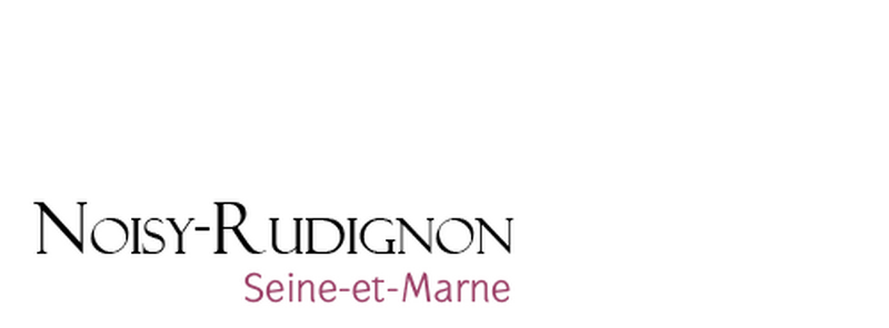 logo noisy rudignon